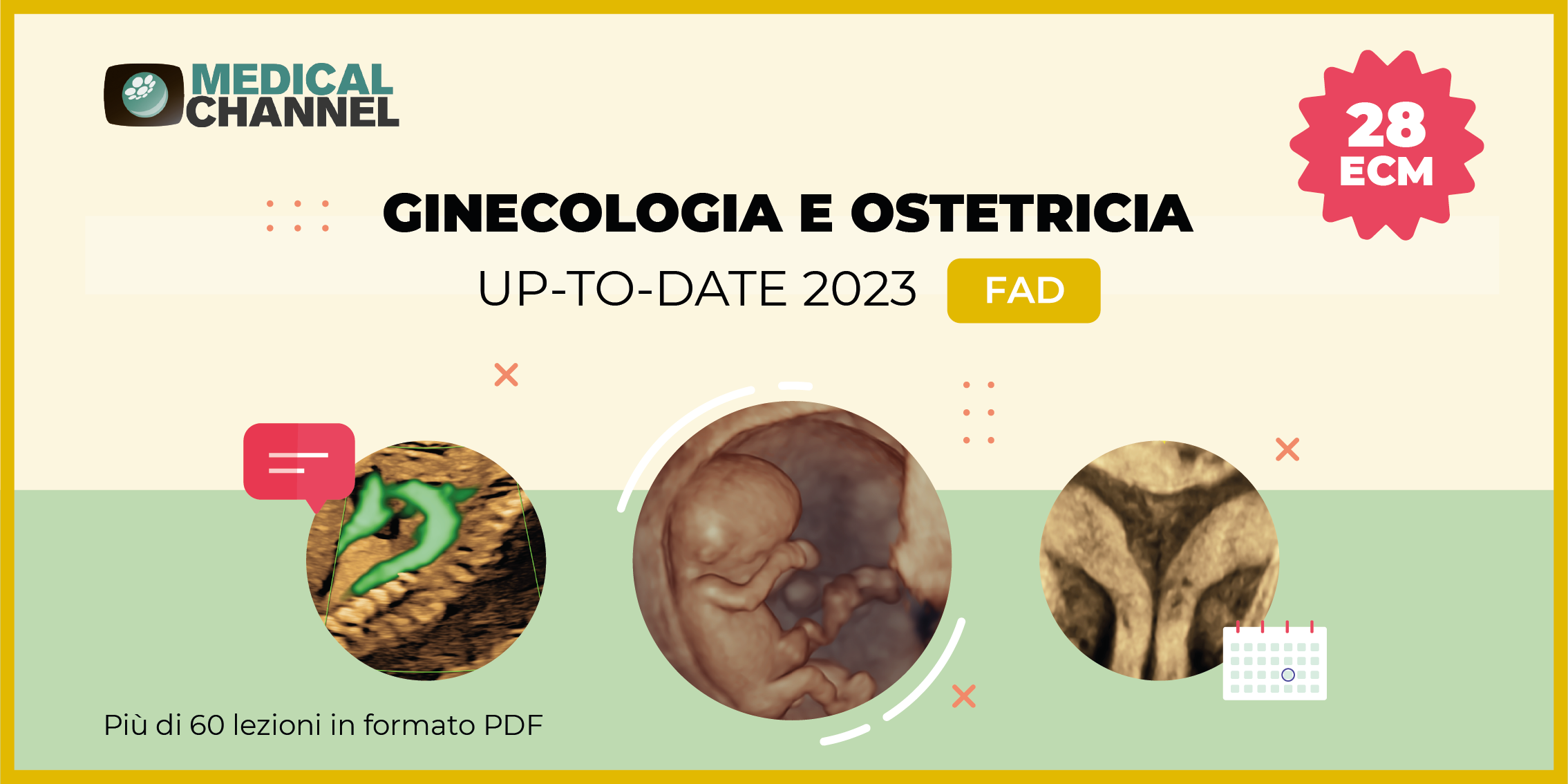 GINECOLOGIA E OSTETRICIA: UP-TO-DATE 2023 -  FAD